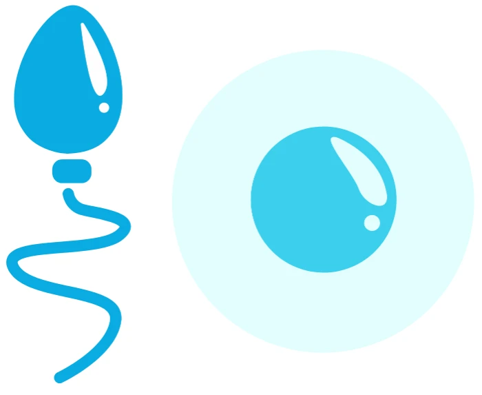 Procréation Médicalement Assistée (PMA).webp